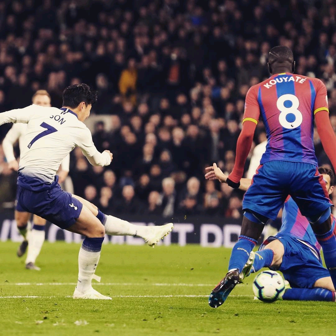 拥有极佳的 拥有极佳的