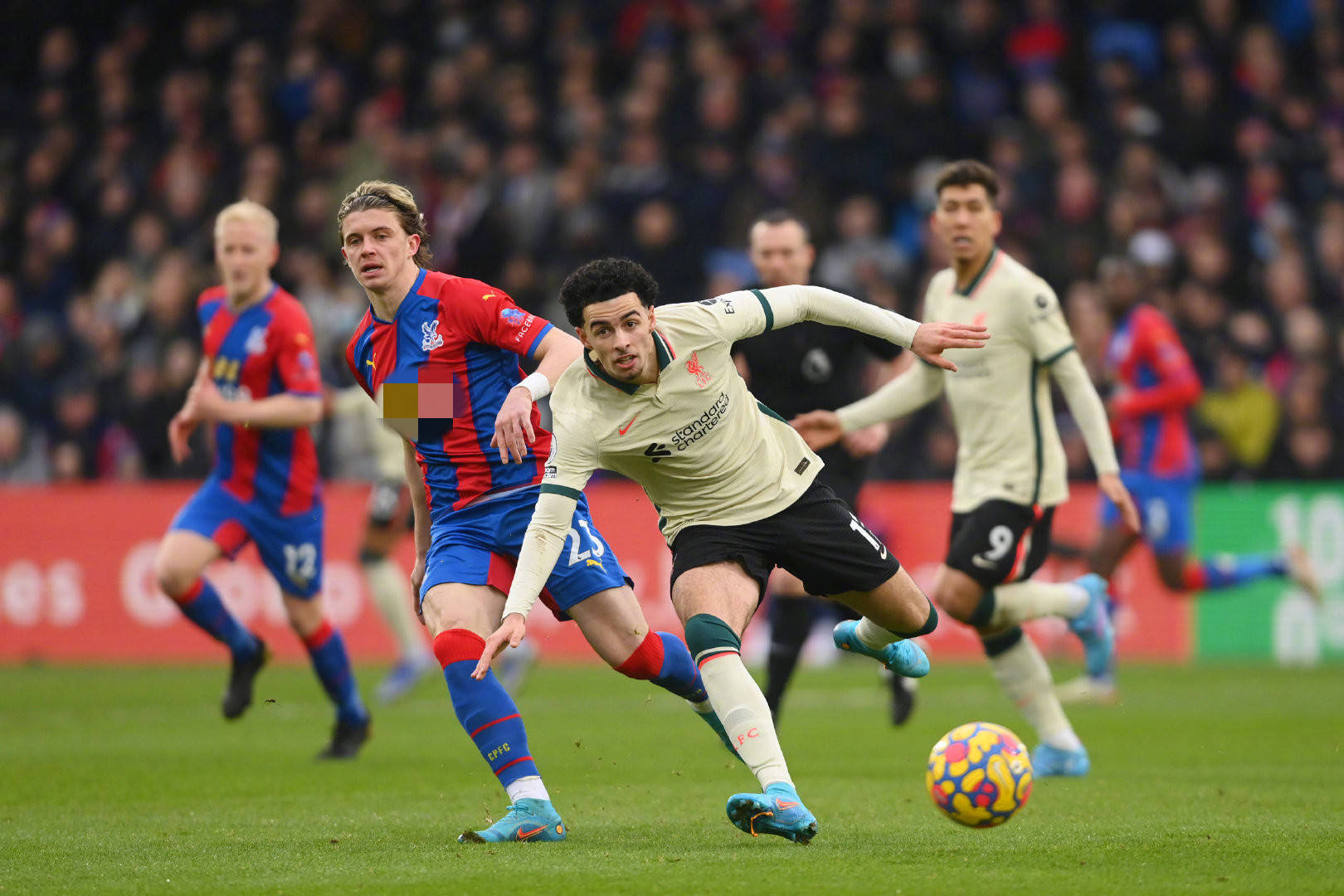 也可能成为 也可能成为